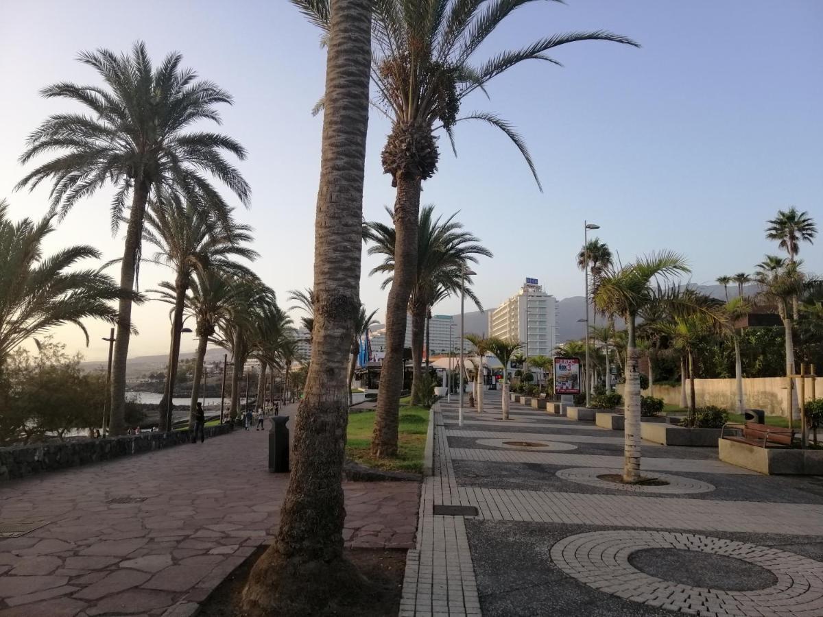 Сozy Apartment In Las Americas Playa Feñabe Exteriör bild